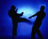Shaolin King-Fu