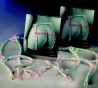 snoep suspender belt