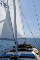 Yoak� Wellness Boat 
