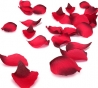 Bed of roses