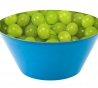 Bedrukte bowl - druiven