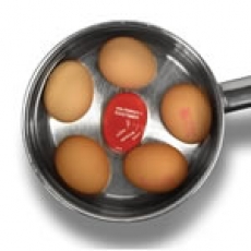 onfeilbaar eitje 