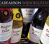 Vivabox Wijndegustatie Casillero
