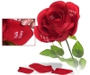 De liefdesbloem 