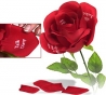 De liefdesbloem 