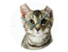 Wandklok - Cuty Cats