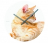 Wandklok - Cuty Cats
