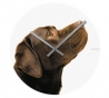 Wandklok- Crazy Dogs