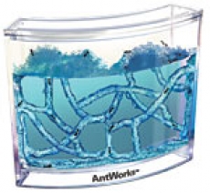 Antworks 