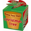 plant je eigen kerstboompje