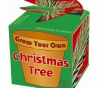 plant je eigen kerstboompje