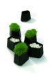 Rock garden planters
