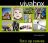 vivabox Foto op canvas