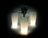 Qui est Paul - Translucent light planter