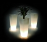 Qui est Paul - Translucent light planter
