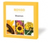 Bloemen