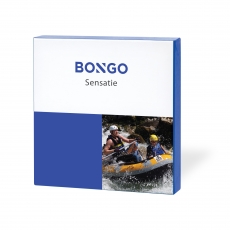 Bongo Sensatie