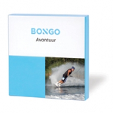 Bongo Avontuur