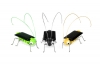 Solar Bugs (set van 3)