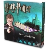 Harry Potter Schaakspel