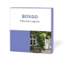 Bongo Pittoresk Logeren