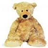 Teddy Freezy
