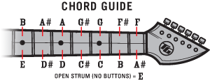 guitar bag